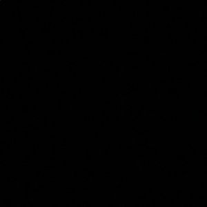 Meet your Posher, Dj